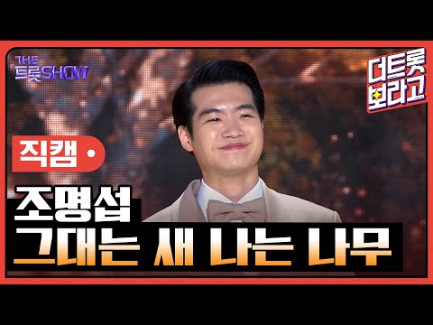 [세로 직캠]조명섭¸ 그대는 새 나는 나무 | 트롯쇼 230403