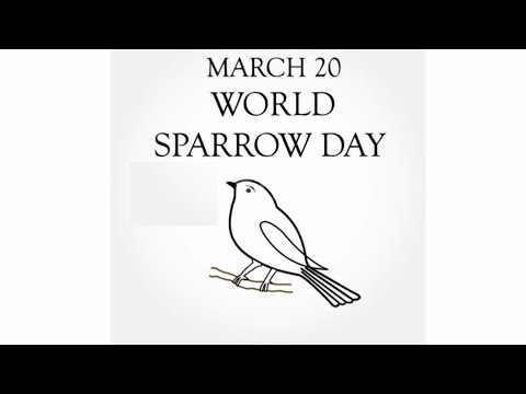 download lagu mp3 mp4 World Sparrow Day Date, download lagu World Sparrow Day Date gratis, unduh video klip World Sparrow Day Date