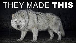 Dire Wolves Were Brought Back From Extinction — But Scientists Say Something Is Wrong
