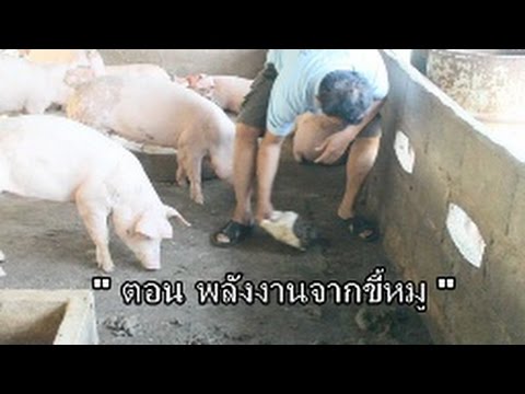 ลดลงพรูแรงว่ามันคืออะไร ค้อนของ ธ อร์ซึ่งจะดีกว่า
