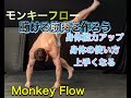 これが本当の猿真似‼モンキーフローで身体の使い方も上手くなる！[Animal Flow]