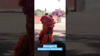 Download lagu Barongsai hibur anak-anak di Sampokong Semarang. mp3 Download lagu Barongsai hibur anak-anak di Sampokong Semarang. mp3
