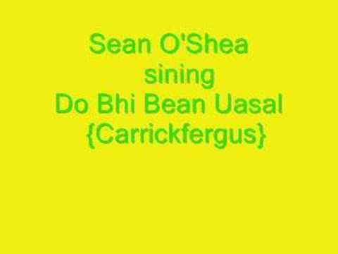 Do Bhi Bean Uasal - Sean o'Shea