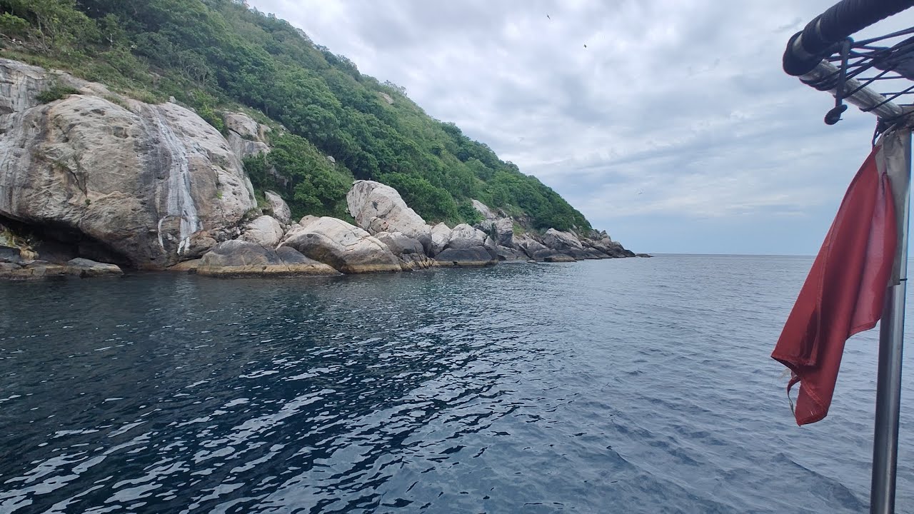 Ilha das cobras. A casa da jararaca ilhoa no Brasil. A cobra mais peçonhenta do mundo.