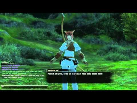 FFXIV Filling the Quiver - Archer R20