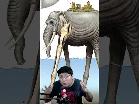 EL CRIMEN DE ZUNESHA FUE REVELADO!! 🐘 #onepiece #manga #anime #imusama #zunesha #joyboy #luffy #nika