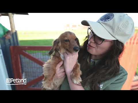 Kennel Tour 153