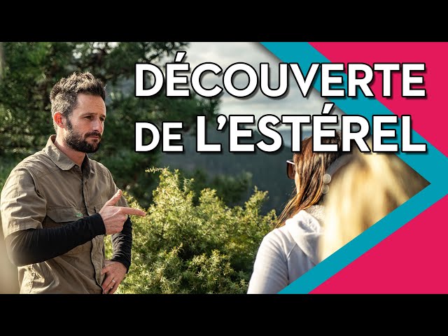 Découverte de l'Estérel avec un guide forestier-Balade Nature - Bonjour Fun
