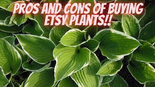 Guide to Buying Plants on Etsy🌷🌻🌹