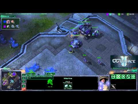 DIMAGA vs DeMusliM PvZ G1 GO4SC2#29 Final