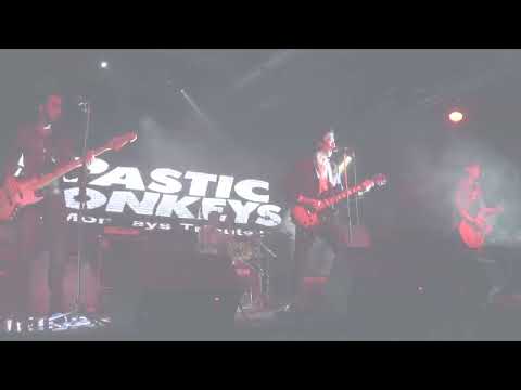 download lagu mp3 mp4 Arctic Monkeys Tribute Band, download lagu Arctic Monkeys Tribute Band gratis, unduh video klip Arctic Monkeys Tribute Band