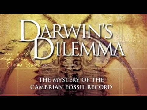 Darwin’s Dilemma: The Mystery of The Cambrian Fossil Record