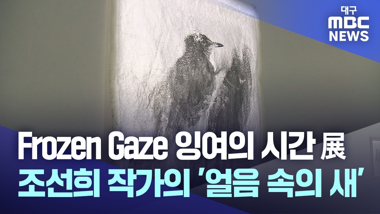 Frozen Gaze 잉여의 시간 展 ··조선희 작가의 '얼음 속의 새' - 뉴스 썸네일 이미지