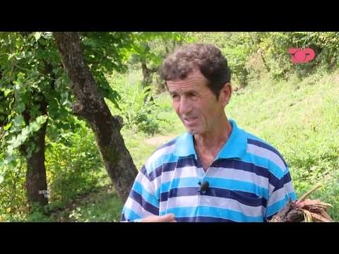 Ne Shtepine Tone, 6 Shtator 2018, Pjesa 3 - Bimë medicinale - Rrënjë rrodhe