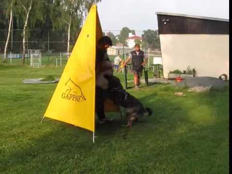 Aischa z  Jukasu - defence - 27 months