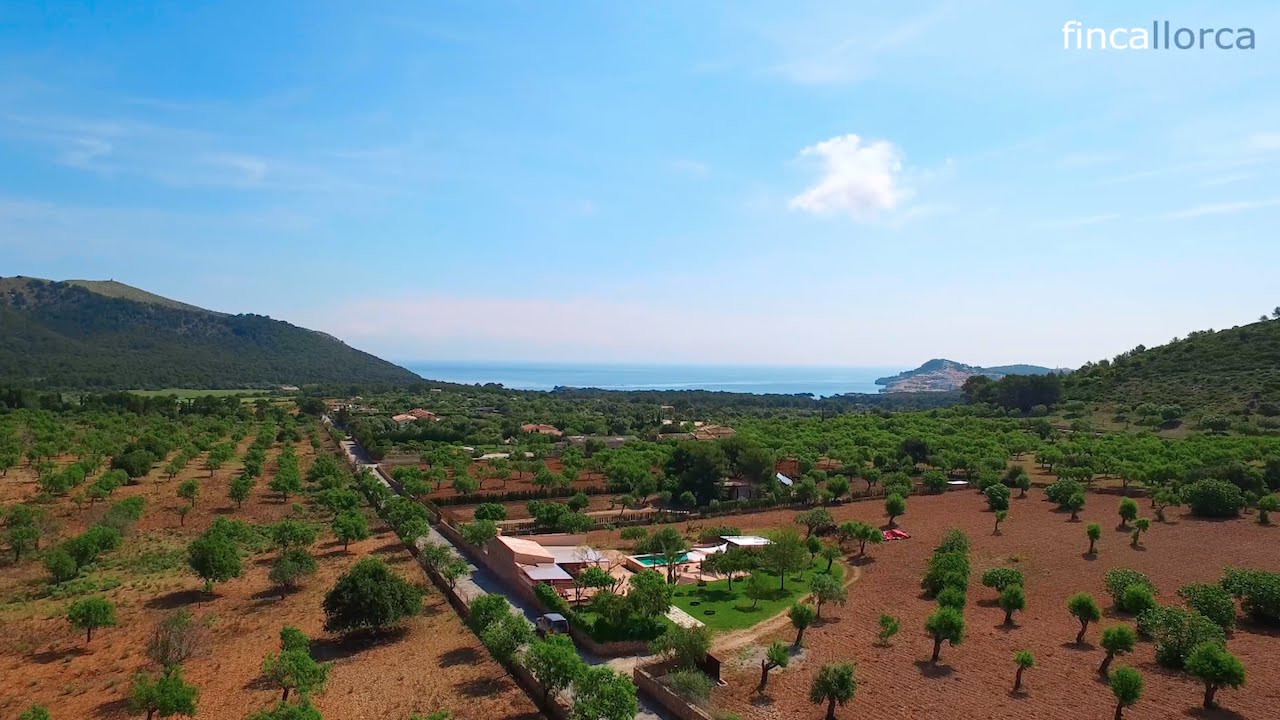 Villa in Mallorca Sis Quartons
