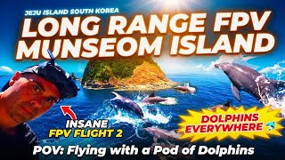 FPV Flight to Munseom Island 🇰🇷 Dolphins Returned 😳 (FLIGHT 2 of 2)