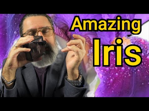 Top 10 Fragrances every Man should own (with the Note of Iris)