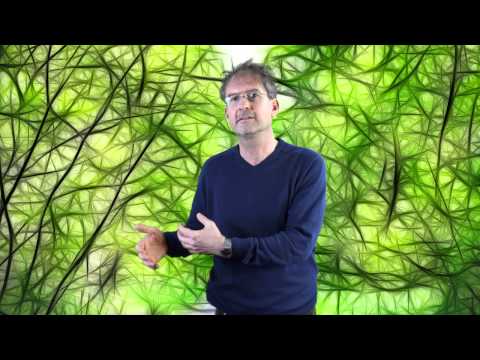 Uwe erklärt "Leerheit"