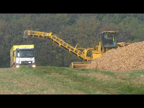 Rübenernte ⚔️ Zuckerrüben 10 Abfahrer und⚔️ Ropa Euro Maus an einen Tag der⚔️ Rübenkampagne ⚔️Pfalz