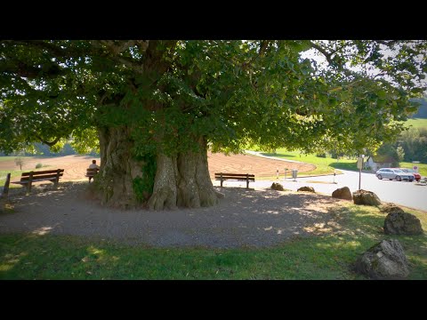 Jura-Höhenweg 2. Etappe: Brugg - Staffelegg