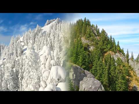 Winter v Summer on Cowboy Ridge at Stevens Pass