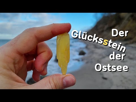 Unsere Jagd nach Ostseejade - Fossilien suchen an der Ostsee