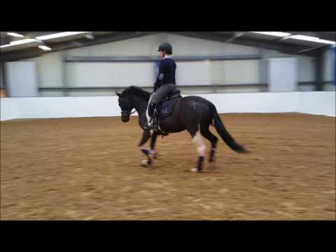 Day and Night AT 2021