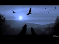 Black Out - Bonnie Anderson lyrics 