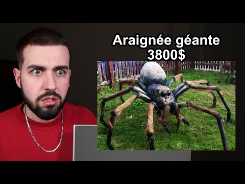 J'ai ACHETÉ une ARAIGNÉE INTERDITE sur le DARKNET dans la VRAIE VIE ! 😨 Je ne m'attendais pas à ça…