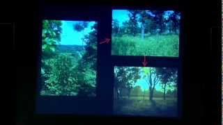 North America's Last (Nonhuman) Primate