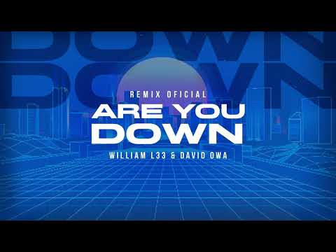 Dubdogz x Selva - Are You Down (Willian L33 & David Owa Remix) (Remix Contest)