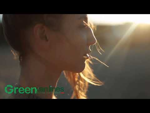 🆕last Minute Move | Best Movers In Dallas Tx Moving To Dallas Check It Out!