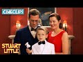 Stuart Little OFFICIAL TRAILER Stuart Little CineClips