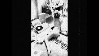 Lance's Dark Mood Party Mix Vol 50 (Trip Hop / Downtempo / Electronica / Chill Out)