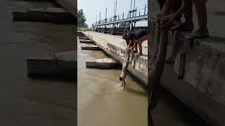 Download lagu Dil Se Shukriya friends 😘 #shorts #viral #frirnd mp3 Download lagu Dil Se Shukriya friends 😘 #shorts #viral #frirnd mp3