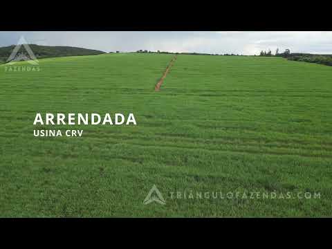 Fazenda a Venda em Ituiutaba - MG - Triangulo Mineiro - Minas Gerais