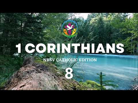 Video thumbnail for 1 Corinthians 8 (NRSV)