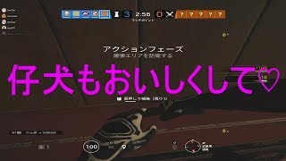 【#R6S】爆笑してるだけのhighlight#6 【OSTRICH】