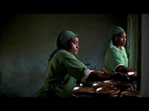 DeMajor, Lizwi - Traveller (ReQuest M Remix)