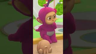 Download lagu Look What's In The Water! Shark! #shorts mp3 Download lagu Look What's In The Water! Shark! #shorts mp3