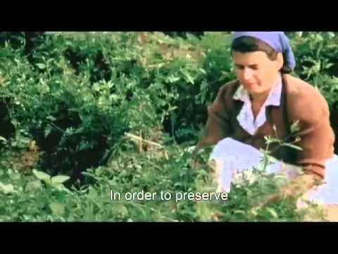 Chanel No. 5 By Jacques Polge: The Flowers Of Chanel No.5