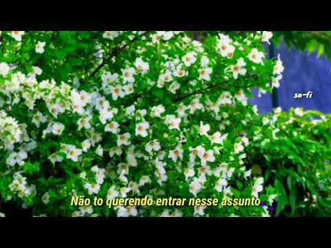 Dolla, L7nnon - Jasmin (letra)