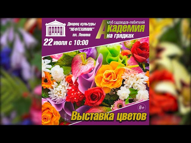 Клуб "Академия на грядках" приглашает ангарчан посетить выставку цветов
