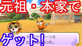 妖怪ウォッチ2真打 381 本家だけ 色違いレア レアスキルのムリカベをゲット 妖怪ウォッチ2本家 元祖 真打 三浦tv تنزيل الموسيقى Mp3 مجانا