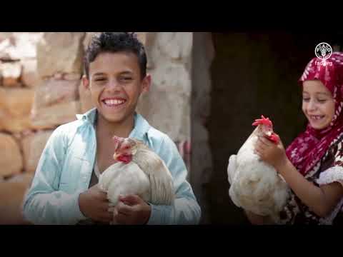 Celebra la Giornata della Gastronomia Sostenibile con la FAO