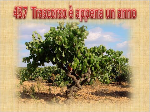 437 TRASCORSO E' APPENA UN ANNO - KARAOKE