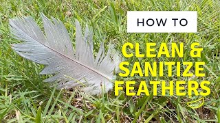 How to Clean & Santitize Feathers To Use in Artwork and Slow Stitching #cleaningfeathers