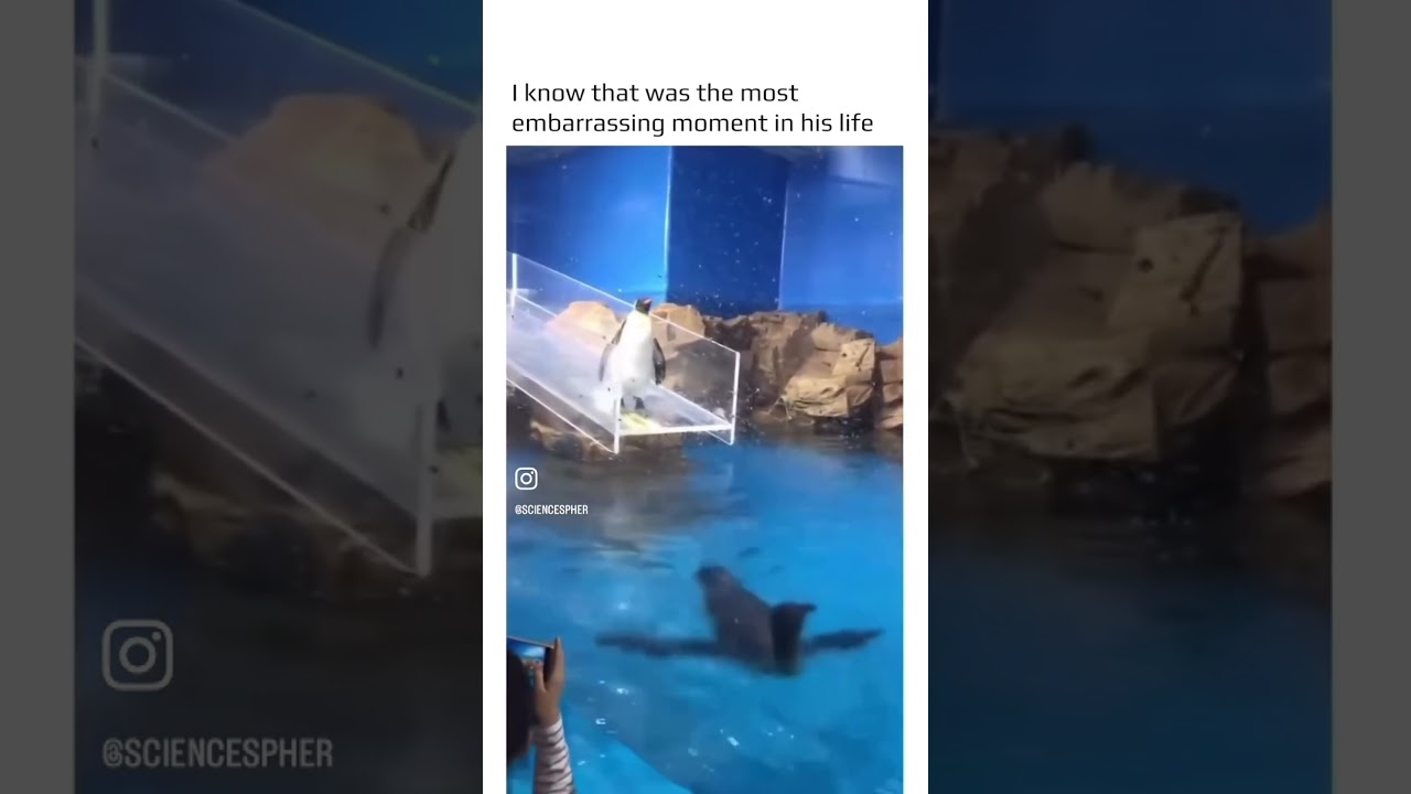 Ooops! 🤦🏿‍♂️😂