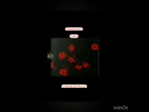 Z.H.O.O.T.A.H Zay Freeztyle - Kidd McLaren